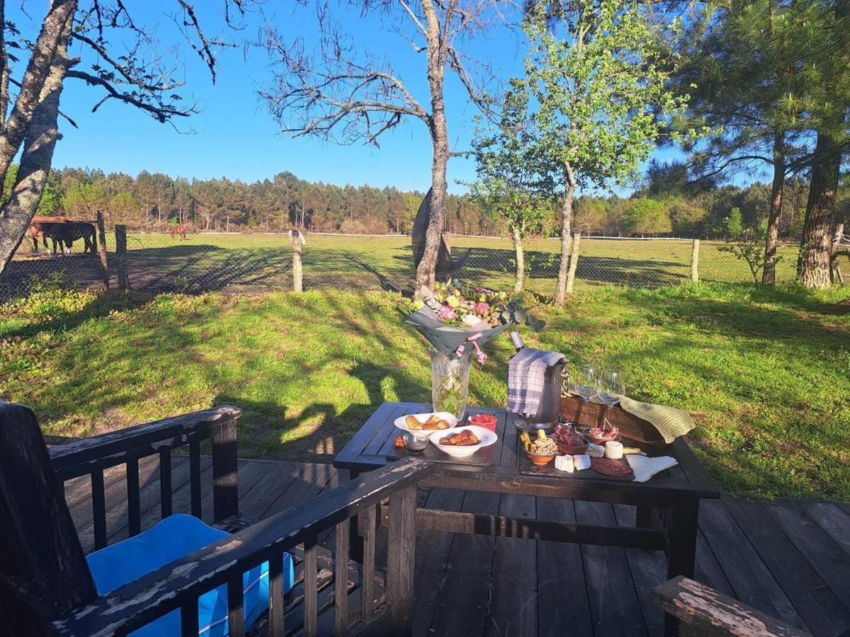 Domaine L'Oree Du Marais Le Barp Экстерьер фото